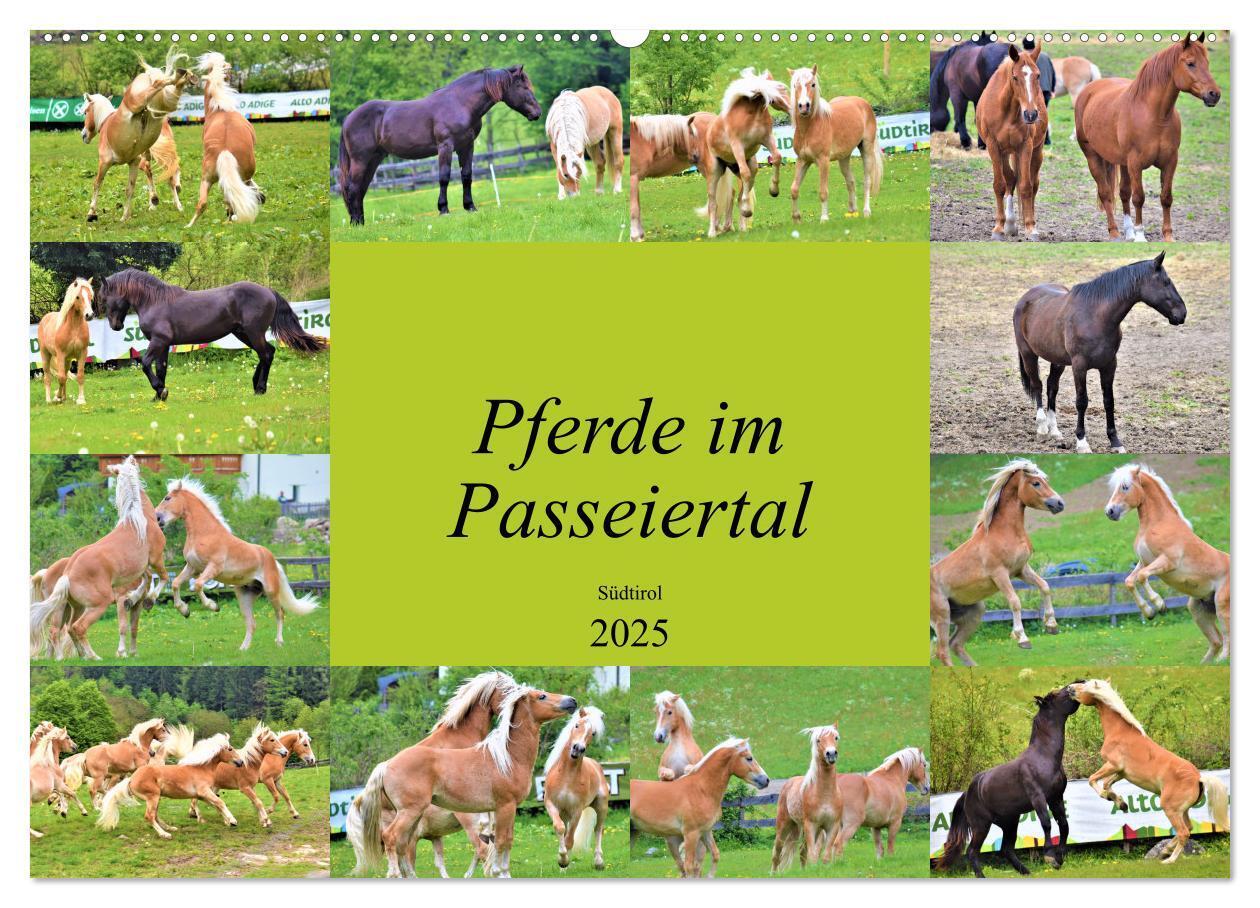 Cover: 9783435136179 | Pferde im Passeiertal (Wandkalender 2025 DIN A2 quer), CALVENDO...