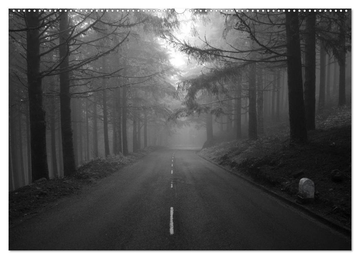 Bild: 9783435783915 | Stille Momente in Schwarz-Weiss (hochwertiger Premium Wandkalender...