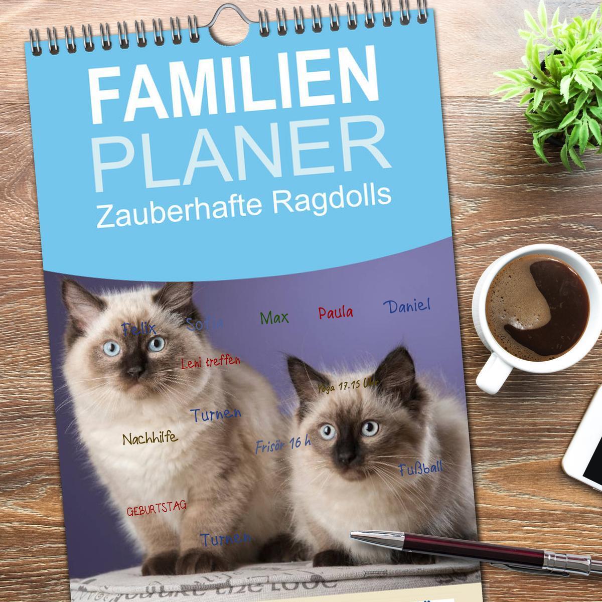 Bild: 9783457123966 | Familienplaner 2025 - Zauberhafte Ragdolls mit 5 Spalten...