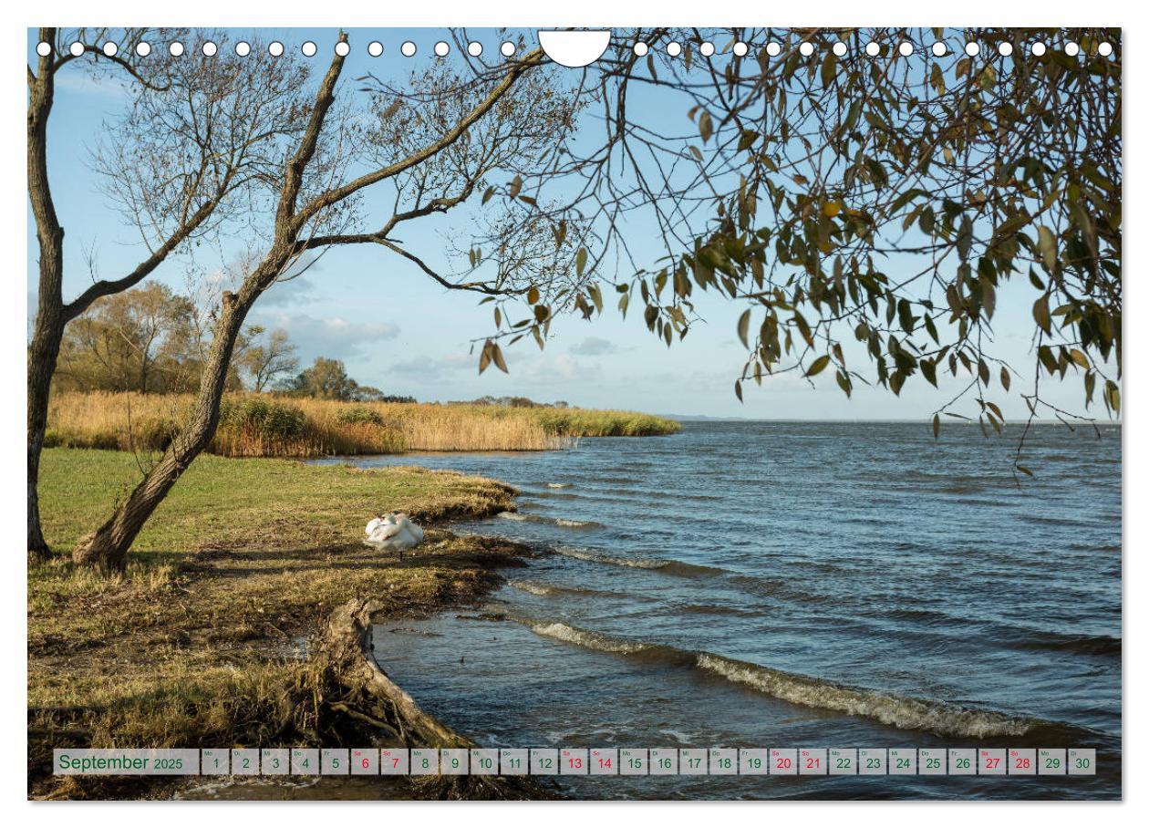 Bild: 9783435188031 | Mecklenburg Vorpommern - Wasser und Meer (Wandkalender 2025 DIN A4...