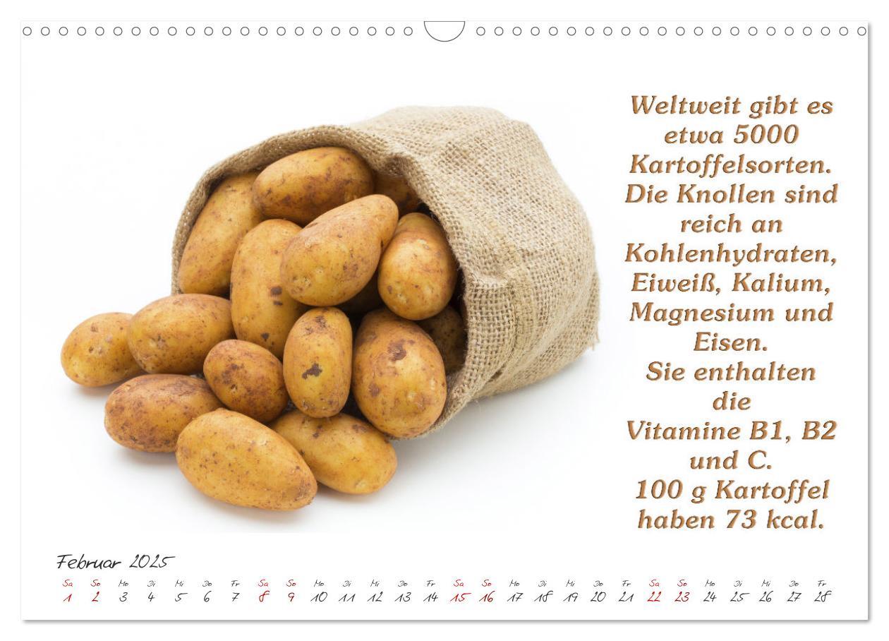 Bild: 9783435041923 | Gesund durchs Jahr (Wandkalender 2025 DIN A3 quer), CALVENDO...