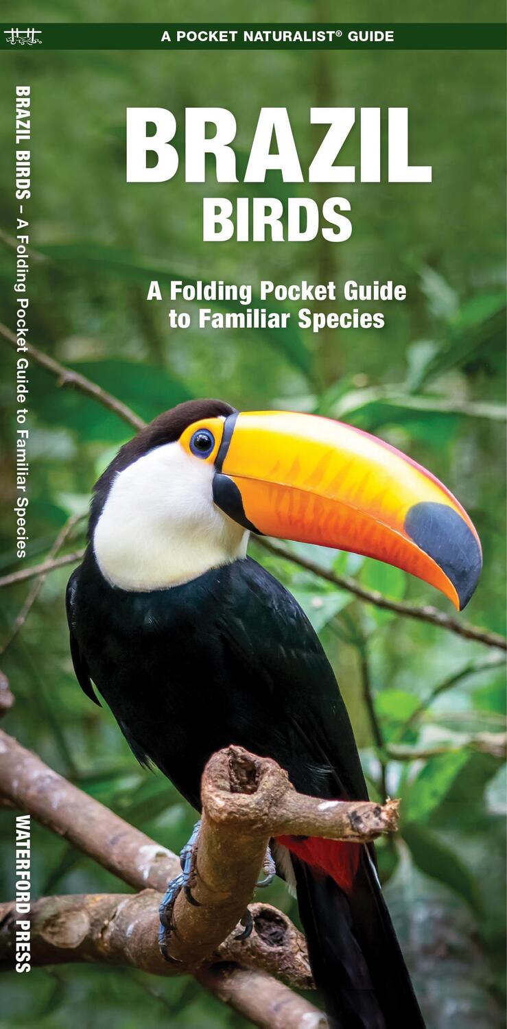 Cover: 9781583559895 | Brazil Birds | A Folding Pocket Guide to Familiar Species | Kavanagh