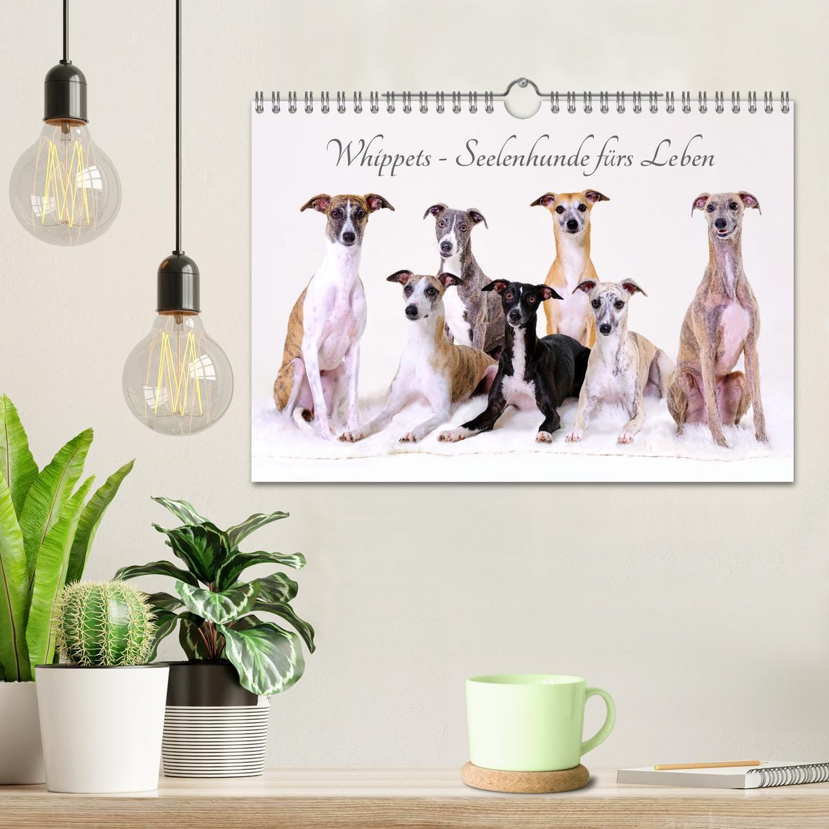 Bild: 9783383857133 | Whippets - Seelenhunde fürs Leben (Wandkalender 2025 DIN A4 quer),...