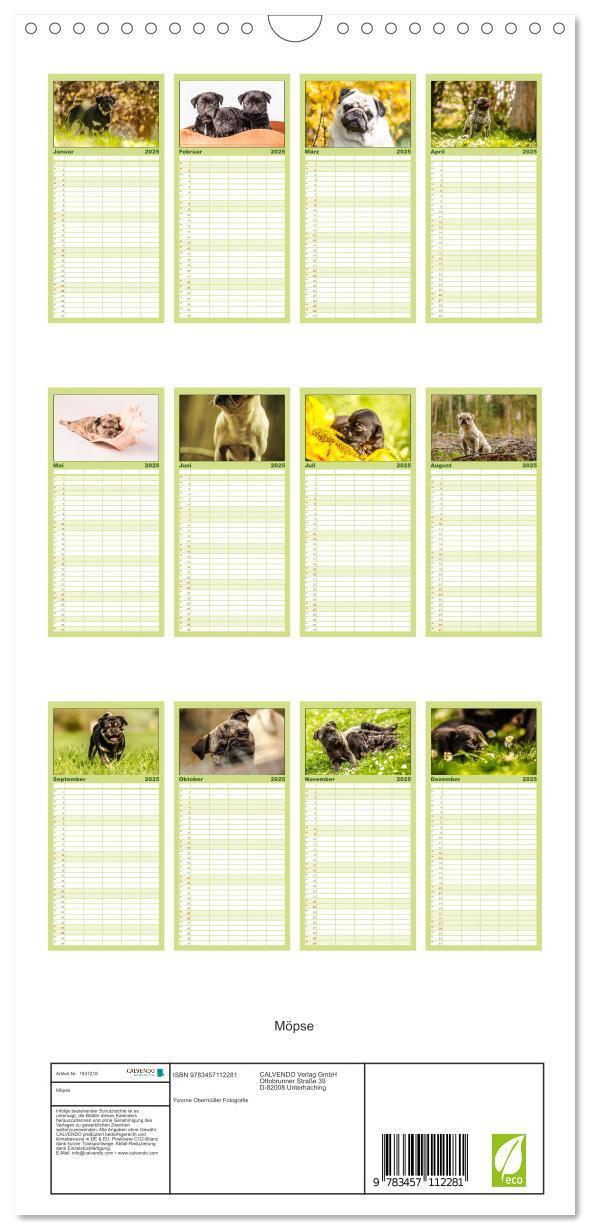 Bild: 9783457112281 | Familienplaner 2025 - Möpse mit 5 Spalten (Wandkalender, 21 x 45...