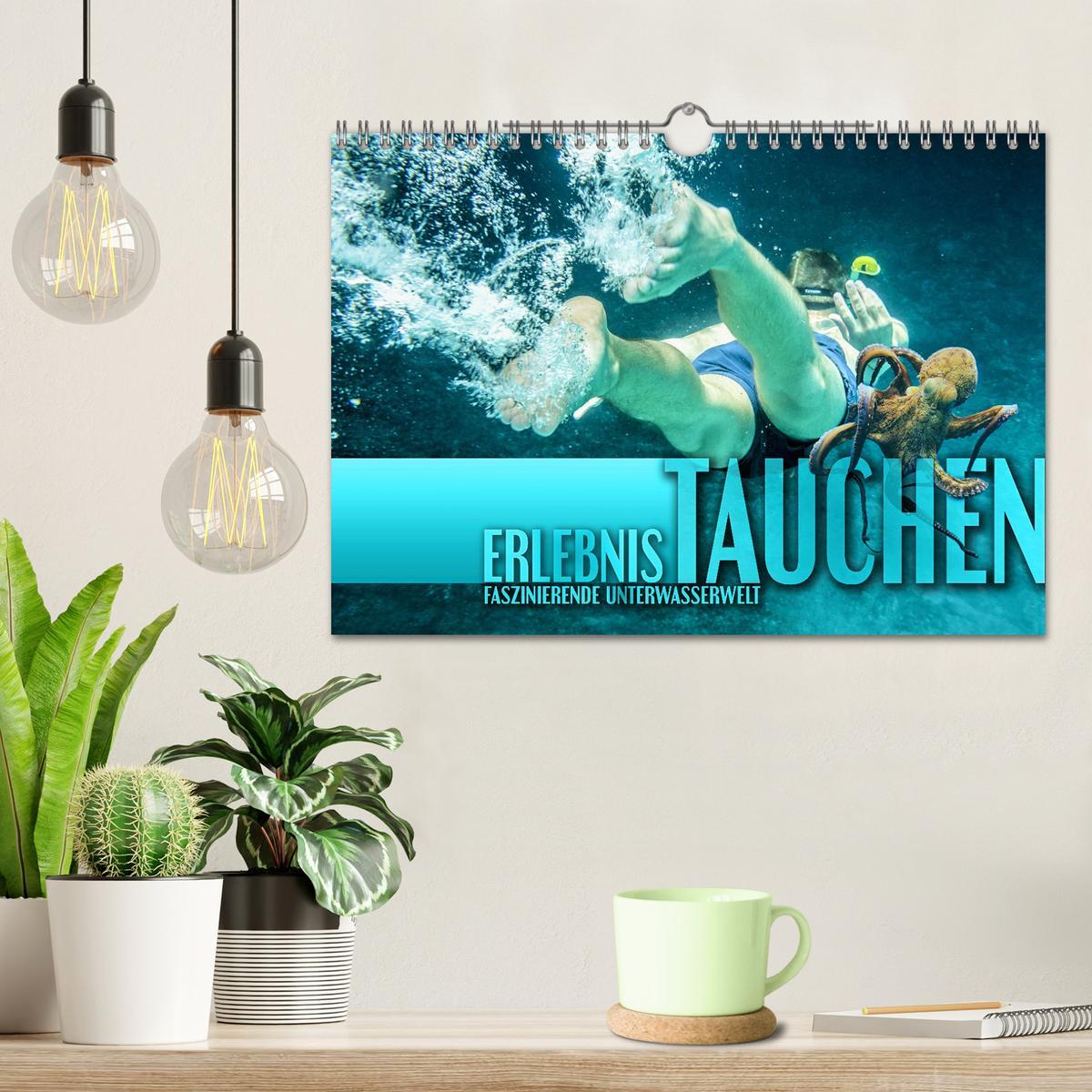 Bild: 9783383981852 | Erlebnis Tauchen - faszinierende Unterwasserwelt (Wandkalender 2025...