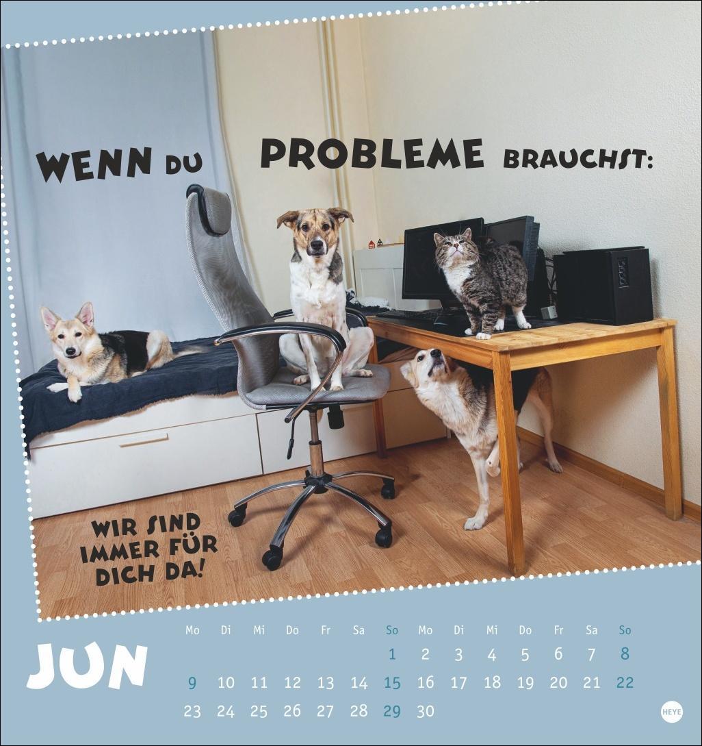 Bild: 9783756407033 | Mach mal Pause Postkartenkalender 2025 - Für das Arbeitstier in dir