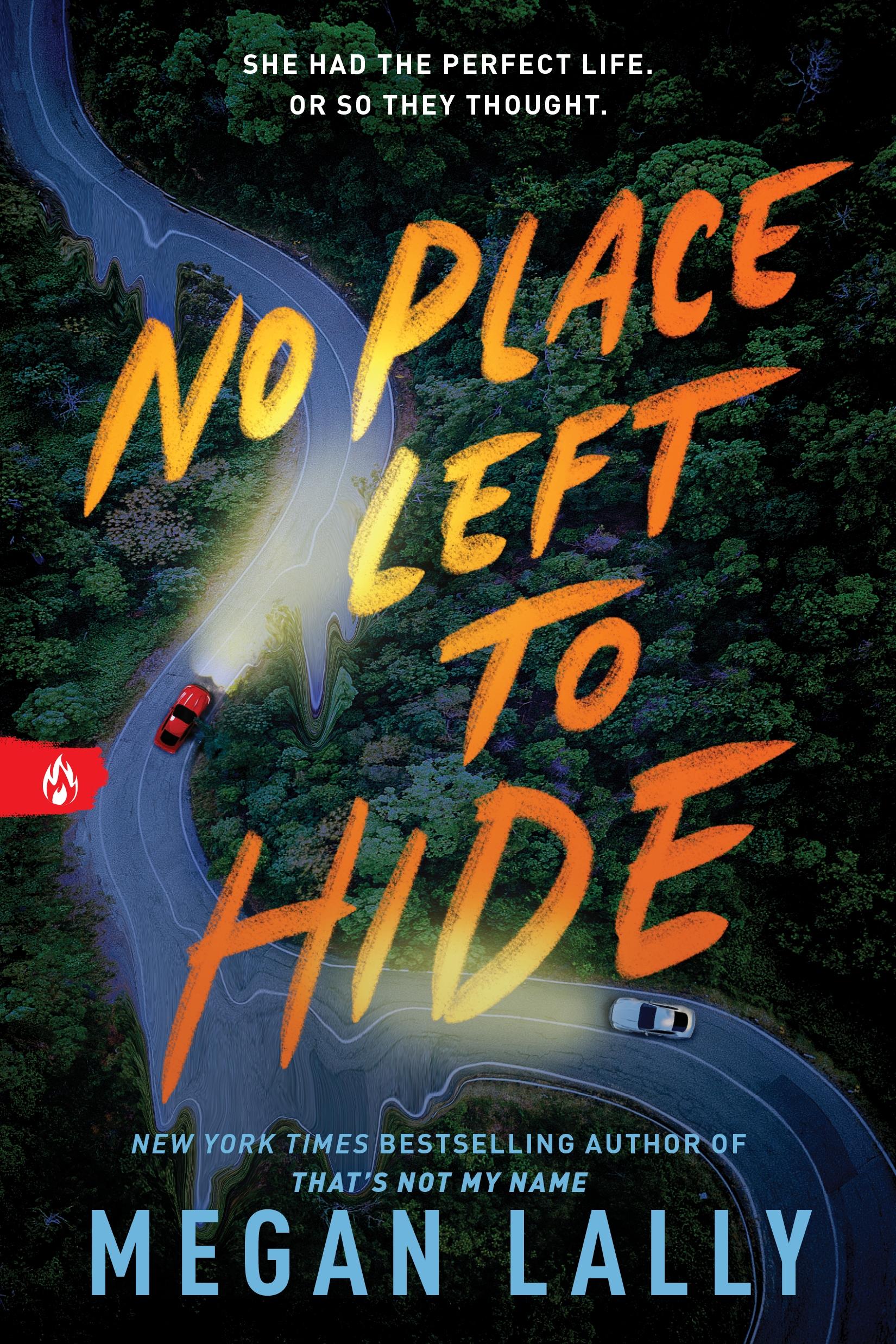 Cover: 9781728270142 | No Place Left to Hide | Megan Lally | Taschenbuch | Paperback | 2025