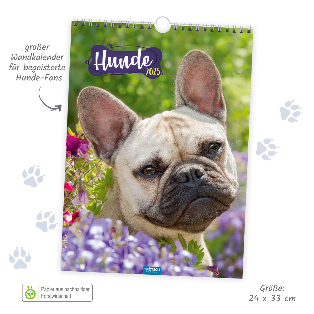 Bild: 9783988021991 | Trötsch Classickalender Hunde 2025 | Wandkalender | &amp;amp (u. a.)