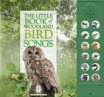 Cover: 9781908489289 | The Little Book of Woodland Bird Songs | Andrea Pinnington (u. a.)