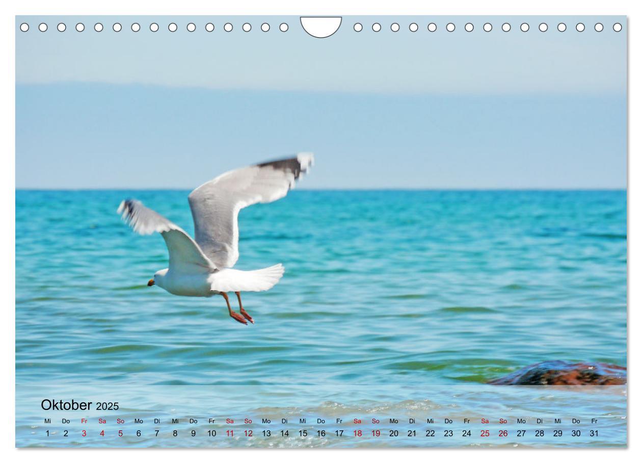 Bild: 9783383953828 | Ostseebad Kühlungsborn. Erholung mit allen Sinnen (Wandkalender...