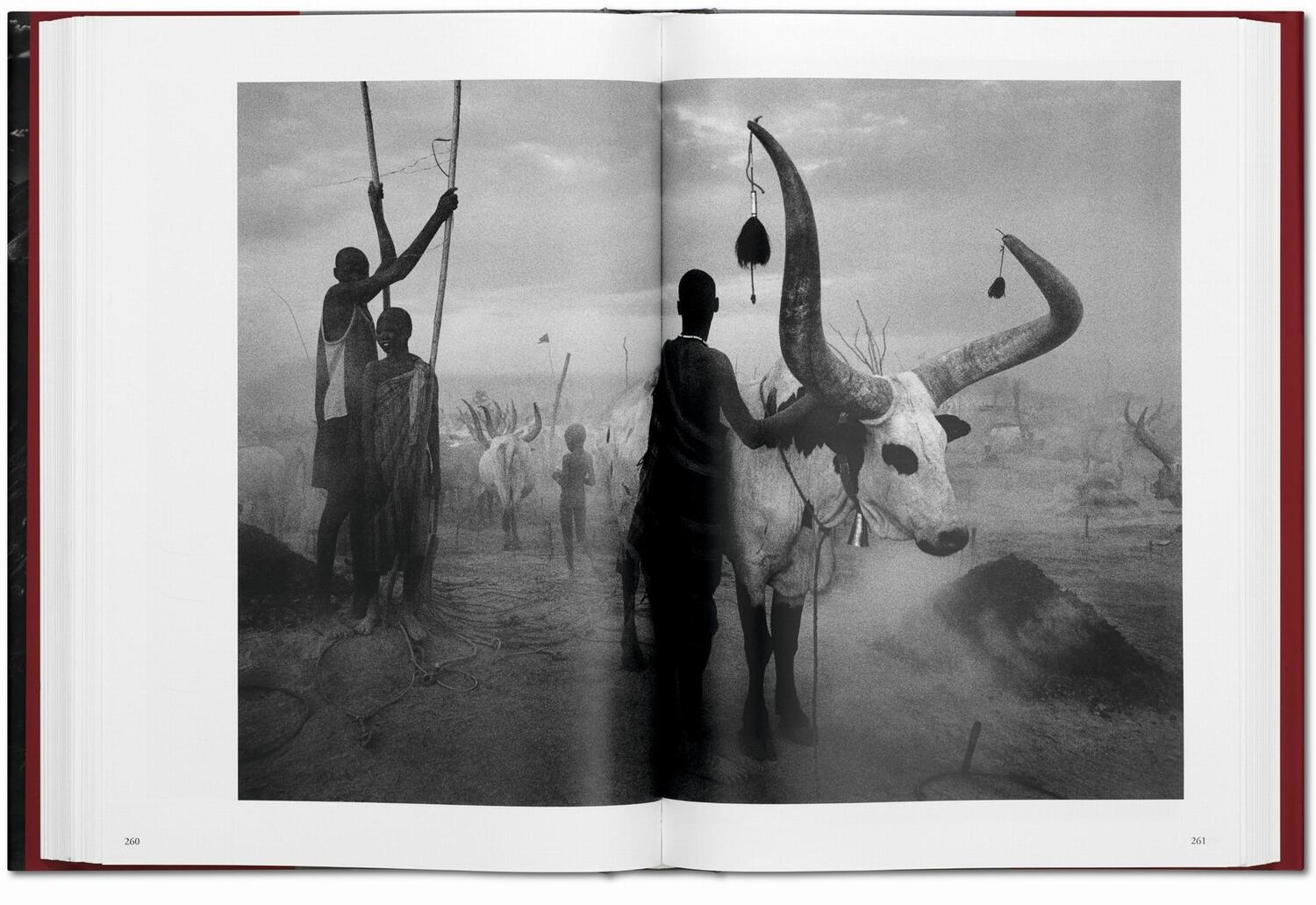 Bild: 9783836542593 | Sebastiao Salgado. Genesis | Trade Edition | Lélia Wanick Salgado