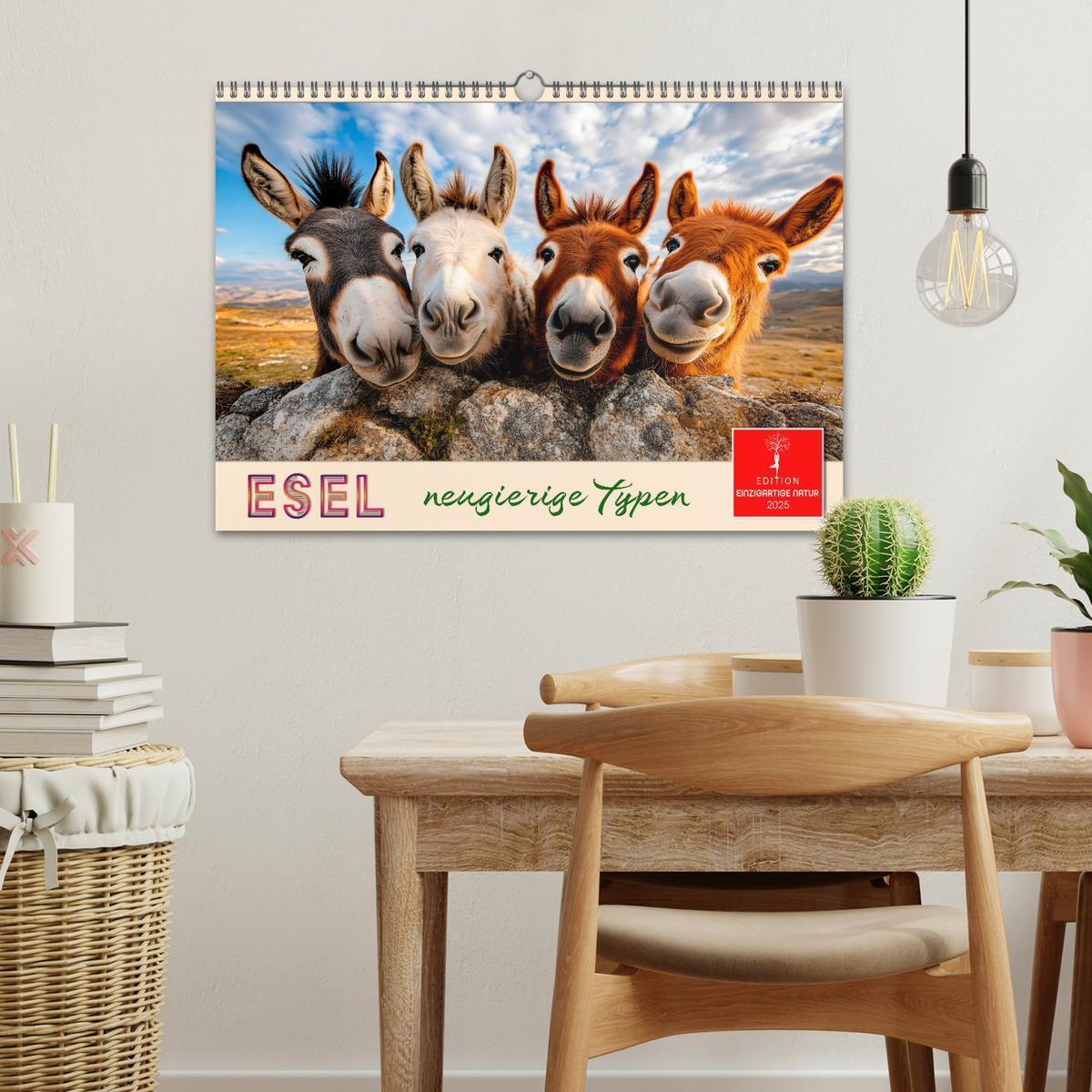 Bild: 9783457215197 | Esel - neugierige Typen (Wandkalender 2025 DIN A3 quer), CALVENDO...