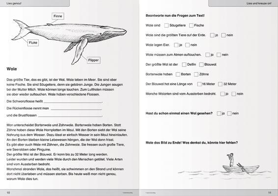 Bild: 9783946904205 | Ich kann lesen 3&amp;4 - 2 Schülerarbeitshefte für die 2. und 3. Klasse