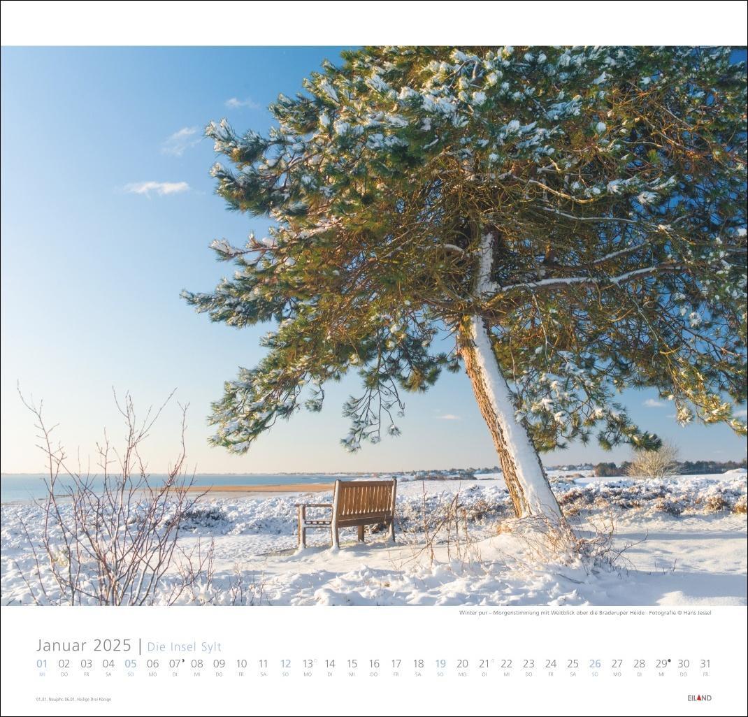 Bild: 9783964023100 | Die Insel Sylt Edition Kalender 2025 - Hans Jessel | Kalender | 13 S.