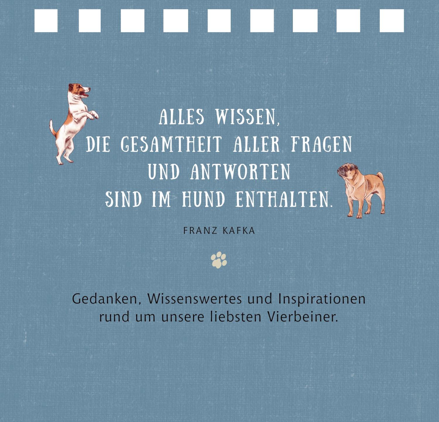 Rückseite: 9783649646044 | Tierisch beste Freunde | Julia Gerigk | Taschenbuch | 144 S. | Deutsch