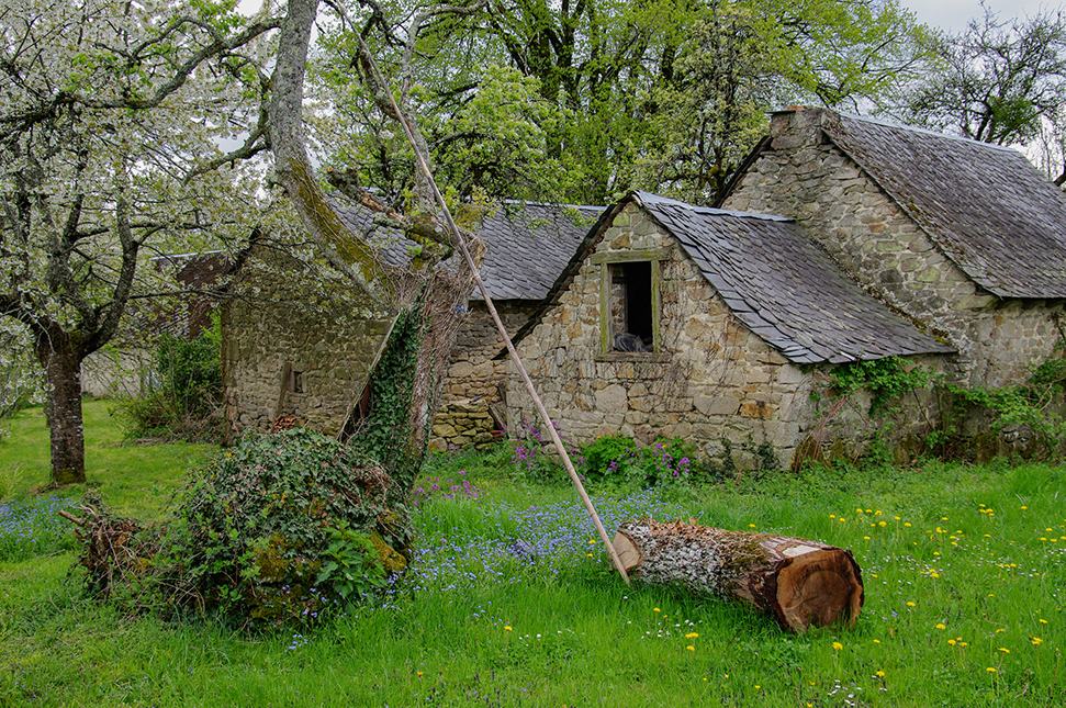 Bild: 9783981802559 | Esel - Wanderungen im Limousin | literarisch-fotografische Reisen