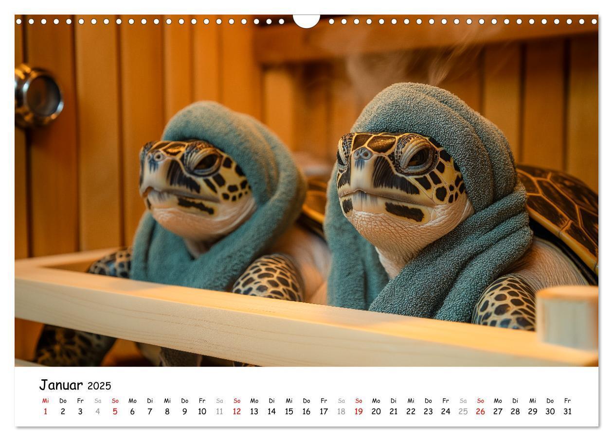 Bild: 9783457215814 | CHILL MAL - Entspannte Schildkröten beim Faulenzen (Wandkalender...