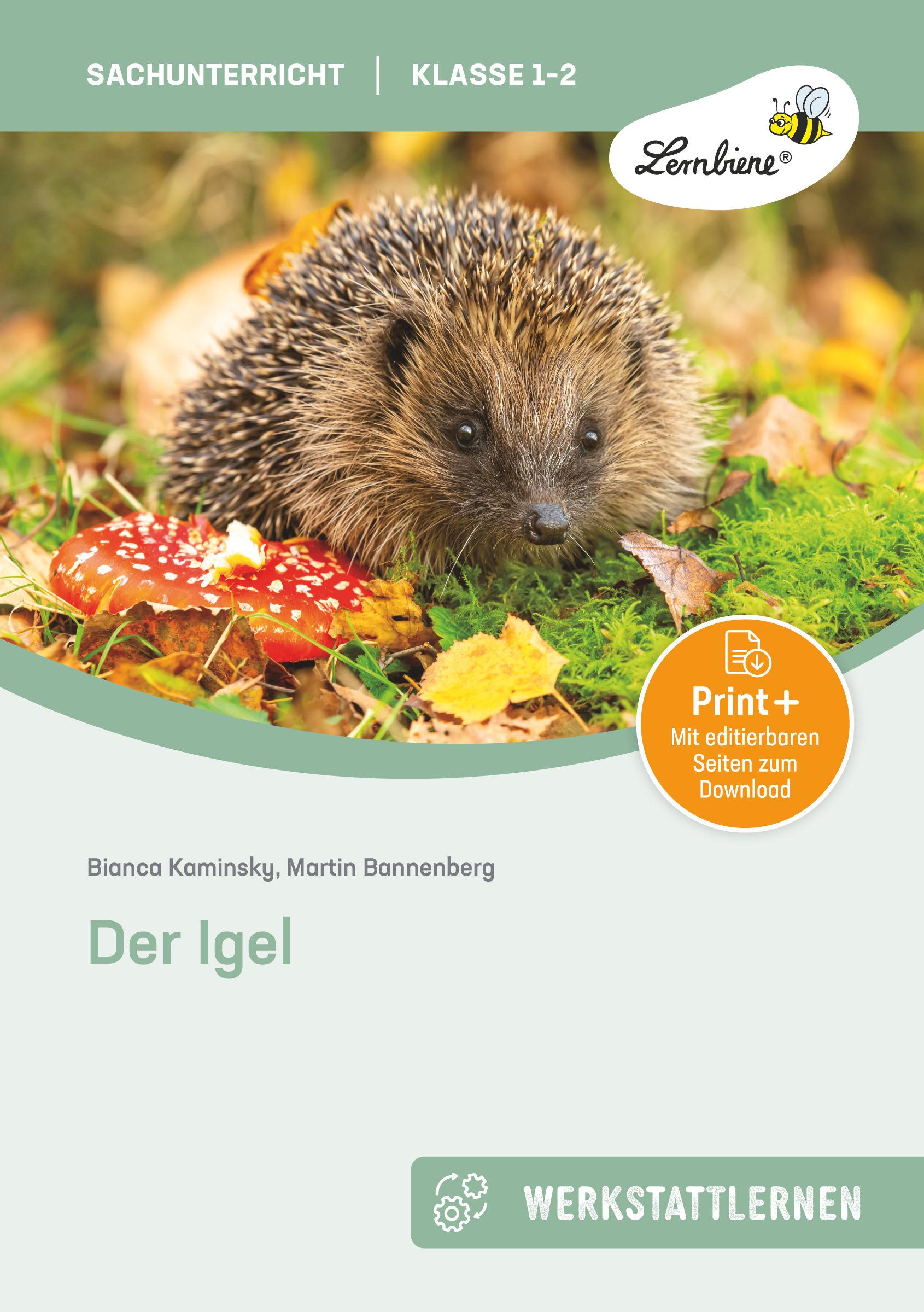 Cover: 9783869989242 | Der Igel. Grundschule, Sachunterricht, Klasse 1-2 | (1. und 2. Klasse)