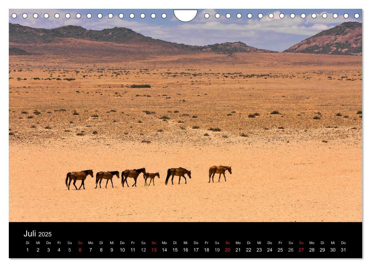 Bild: 9783435828906 | Fantastisches Namibia (Wandkalender 2025 DIN A4 quer), CALVENDO...