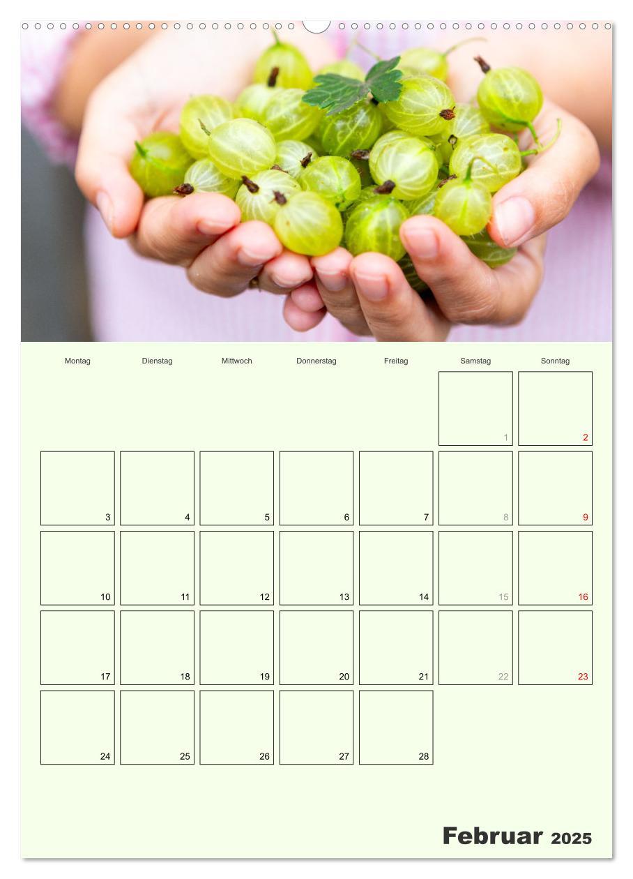 Bild: 9783457185285 | Obst Kalender - GESUND DURCH DAS JAHR (Wandkalender 2025 DIN A2...