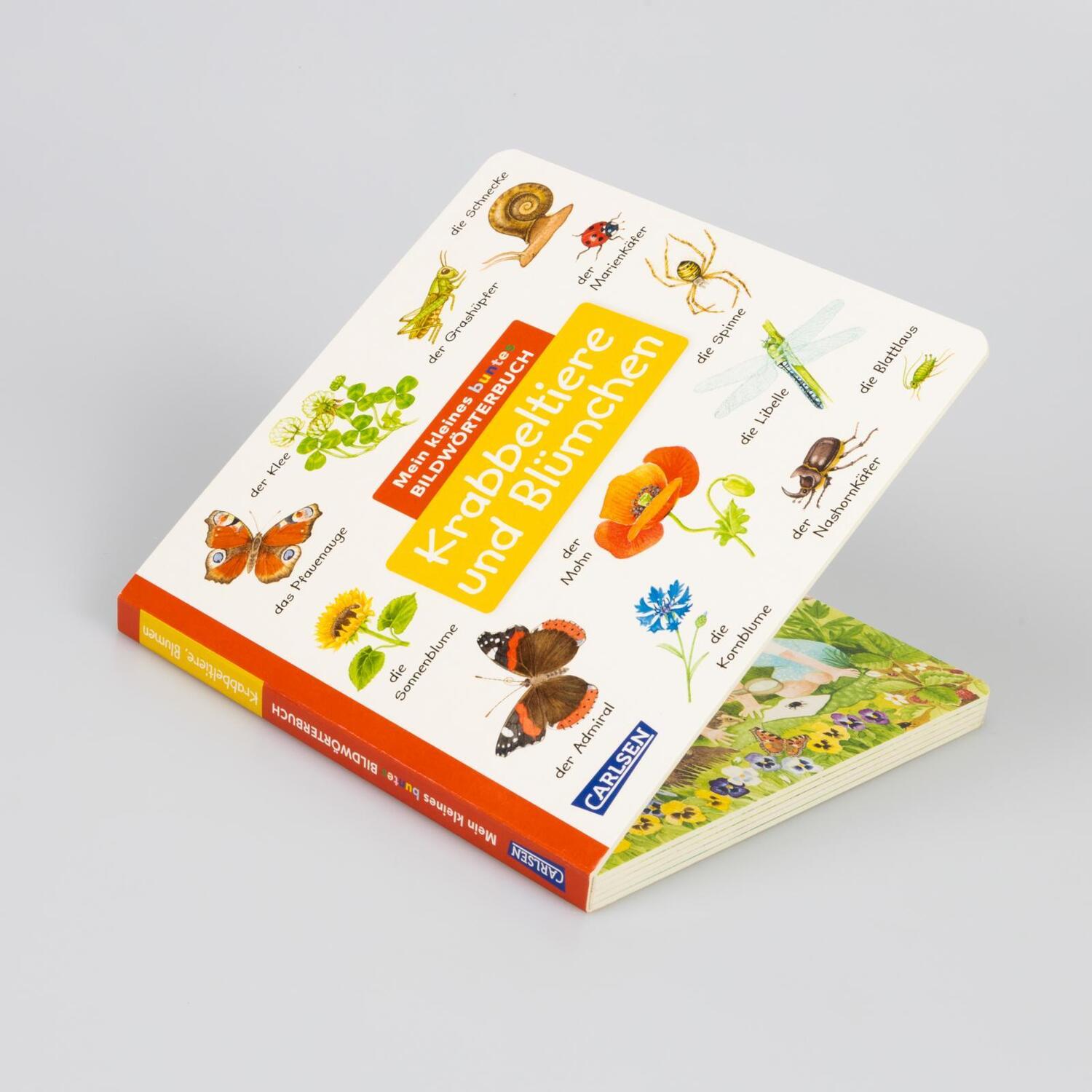 Bild: 9783551173249 | Mein kleines buntes Bildwörterbuch: Krabbeltiere und Blümchen | Henkel