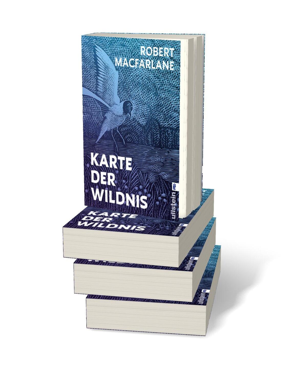 Bild: 9783548068527 | Karte der Wildnis | Robert Macfarlane | Taschenbuch | 304 S. | Deutsch