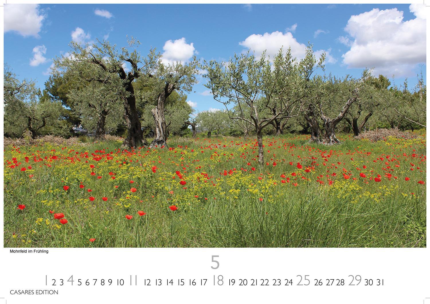 Bild: 9781835241769 | Provence 2025 L 35x50cm | Kalender | 14 S. | Deutsch | 2025