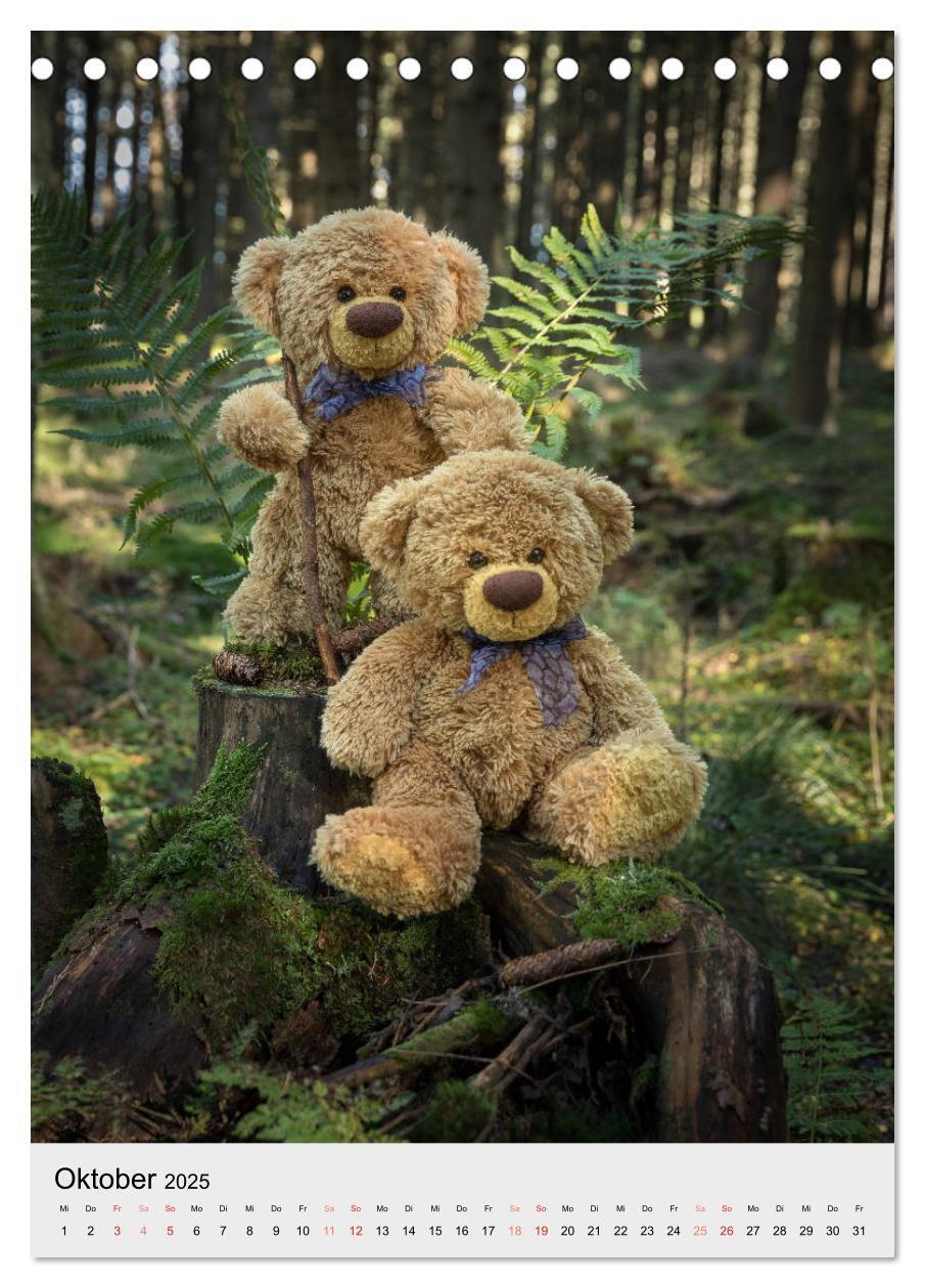 Bild: 9783435934119 | Travelling Teddy auf Welt-Tour (Tischkalender 2025 DIN A5 hoch),...