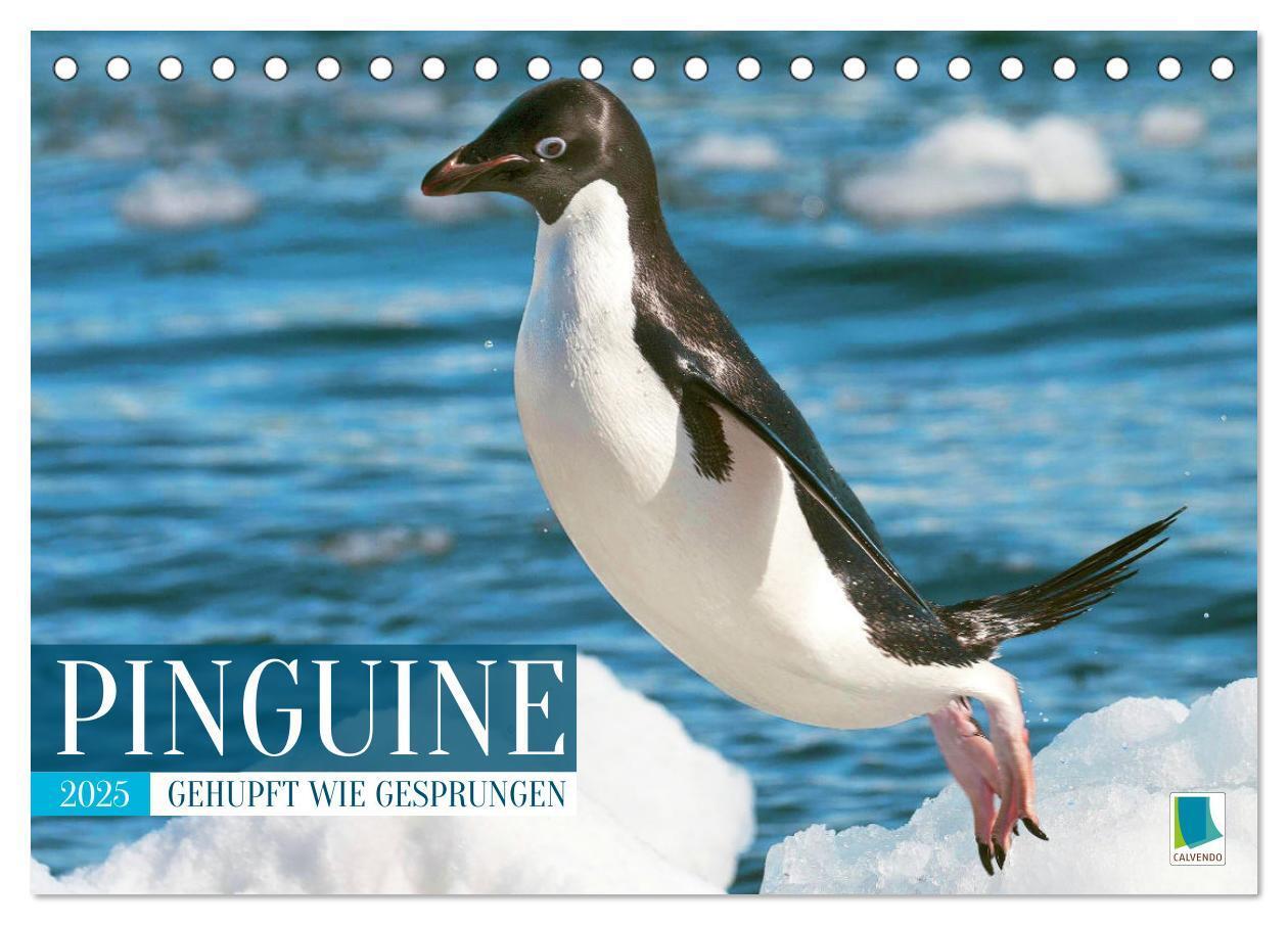 Cover: 9783457198018 | Pinguine: Gehupft wie gesprungen (Tischkalender 2025 DIN A5 quer),...