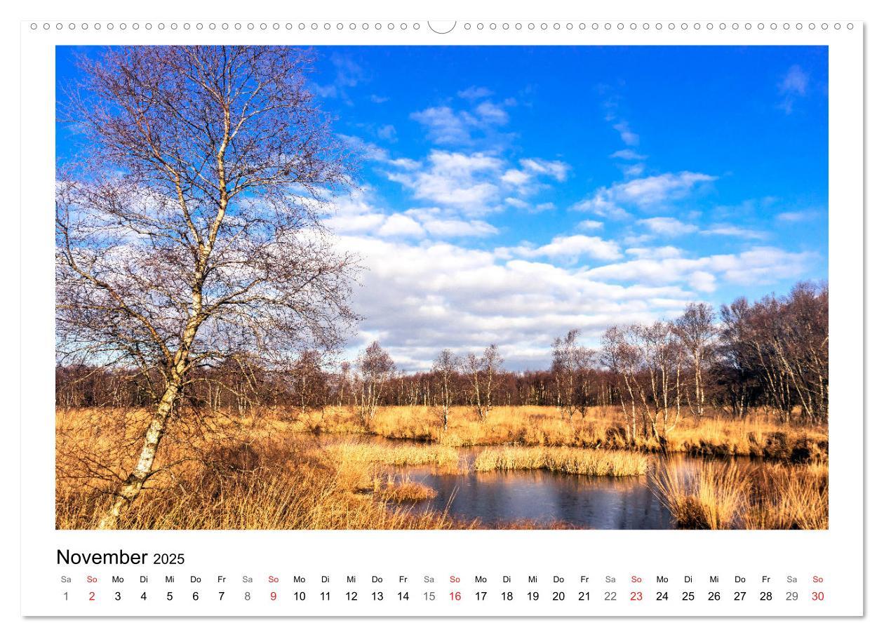 Bild: 9783435484027 | OSTFRIESLAND Strand und Mee(h)r (hochwertiger Premium Wandkalender...