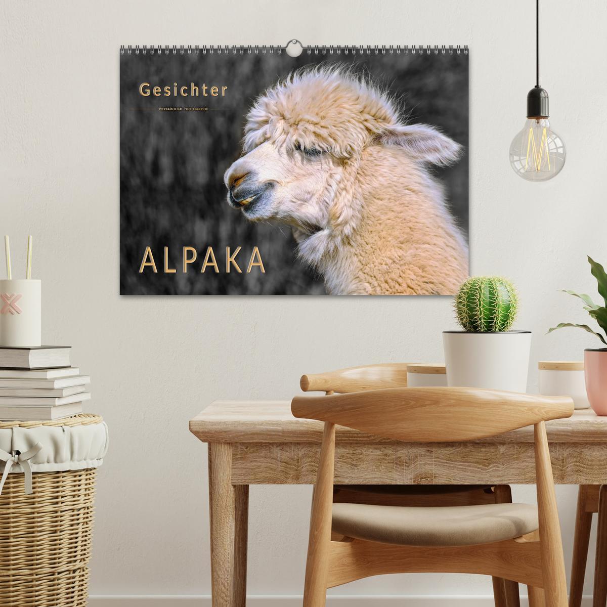 Bild: 9783435364381 | Alpaka Gesichter (Wandkalender 2025 DIN A3 quer), CALVENDO...