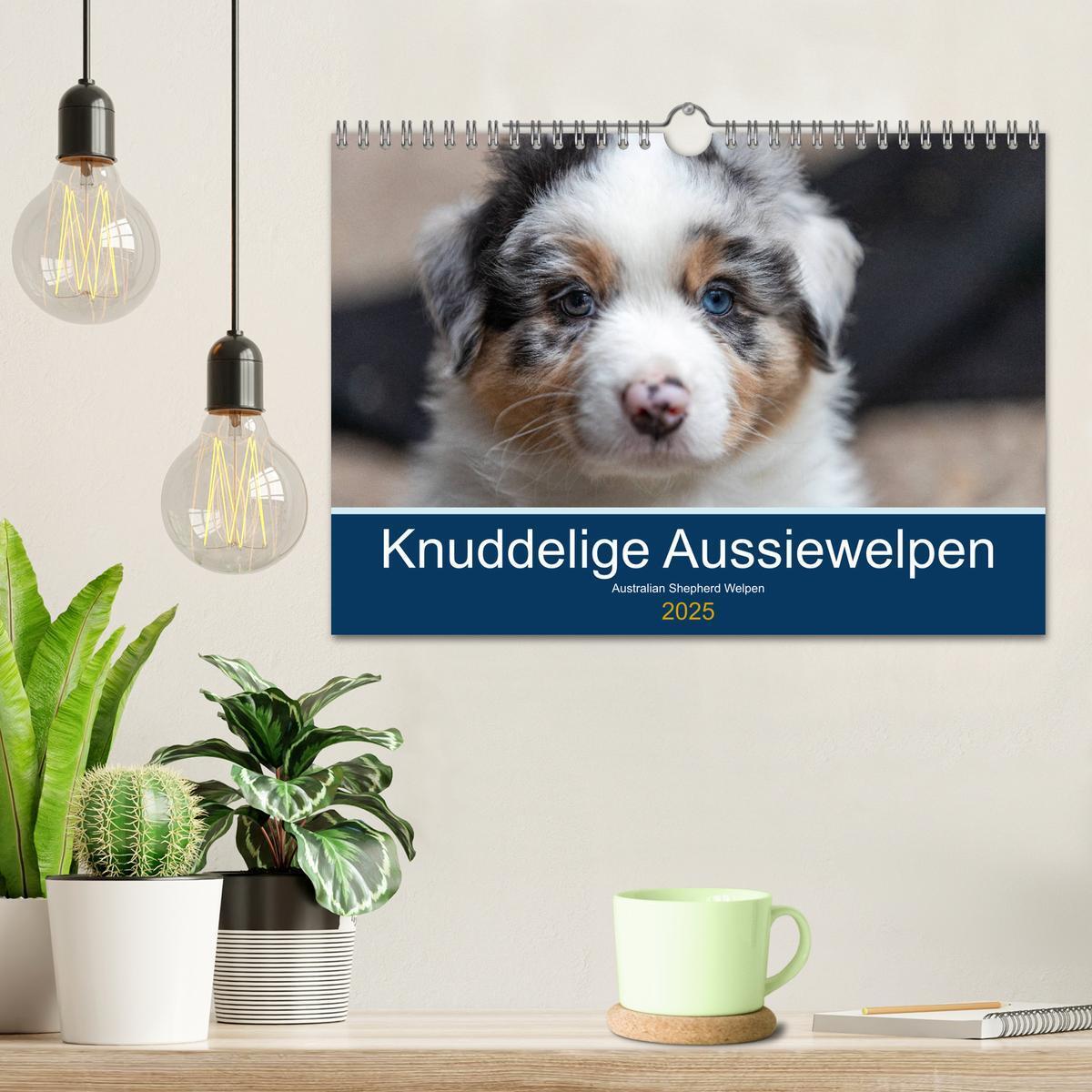 Bild: 9783435151394 | Australian Shepherd Welpen 2025 (Wandkalender 2025 DIN A4 quer),...