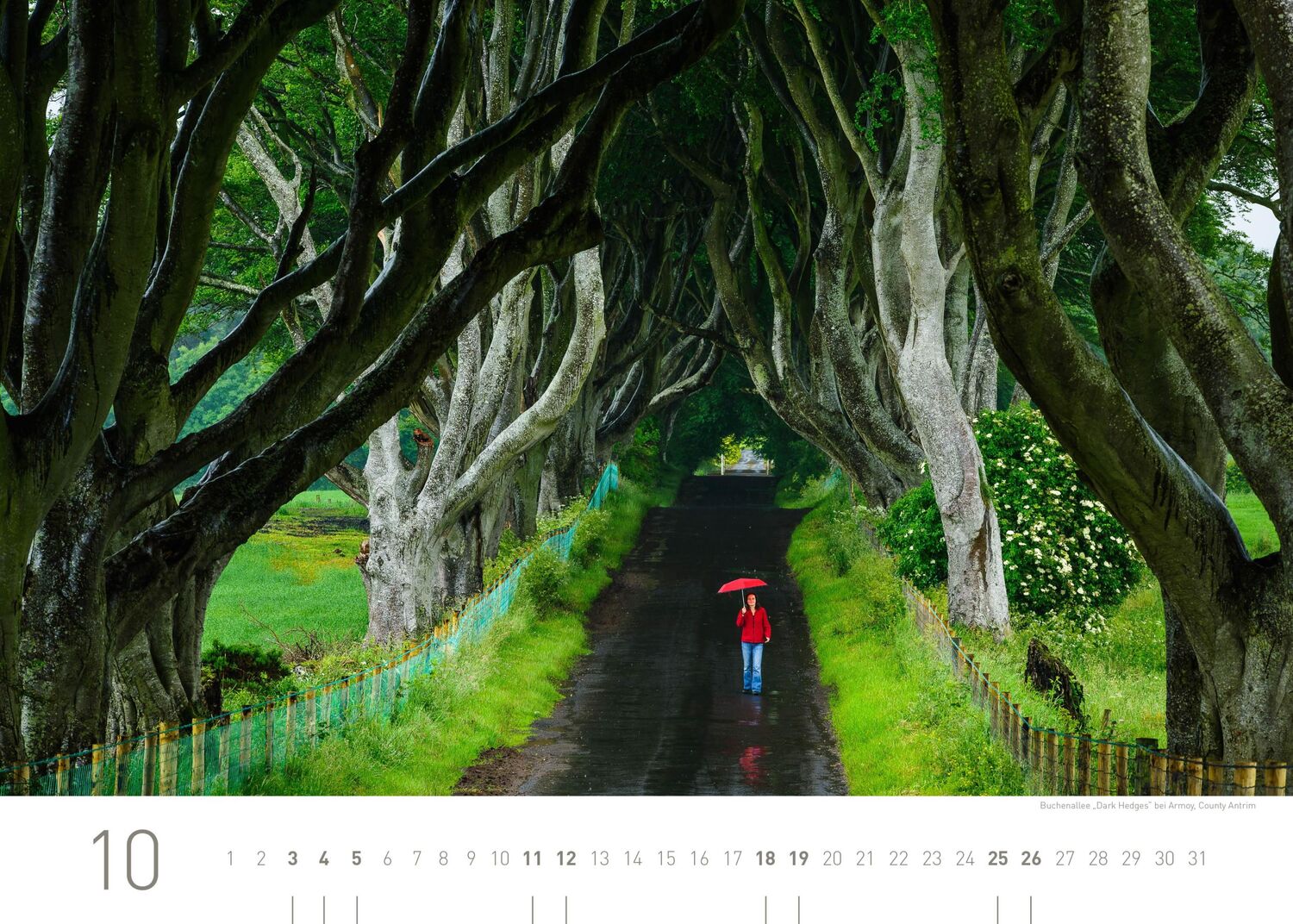 Bild: 9783968555515 | 360° Irland Exklusivkalender 2025 | Hartmut Krinitz | Kalender | 13 S.