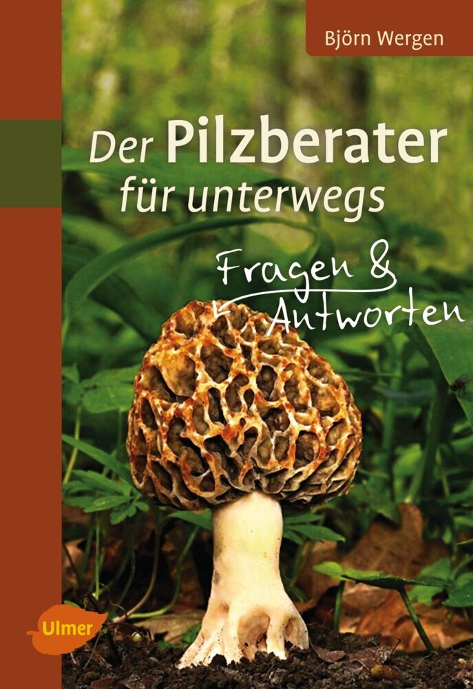 Cover: 9783800179503 | Der Pilzberater für unterwegs | Fragen &amp; Antworten | Björn Wergen