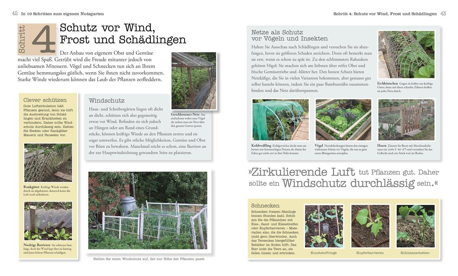 Bild: 9783831039012 | Selbstversorgung für Einsteiger | Große Ernte im kleinen Garten | Buch