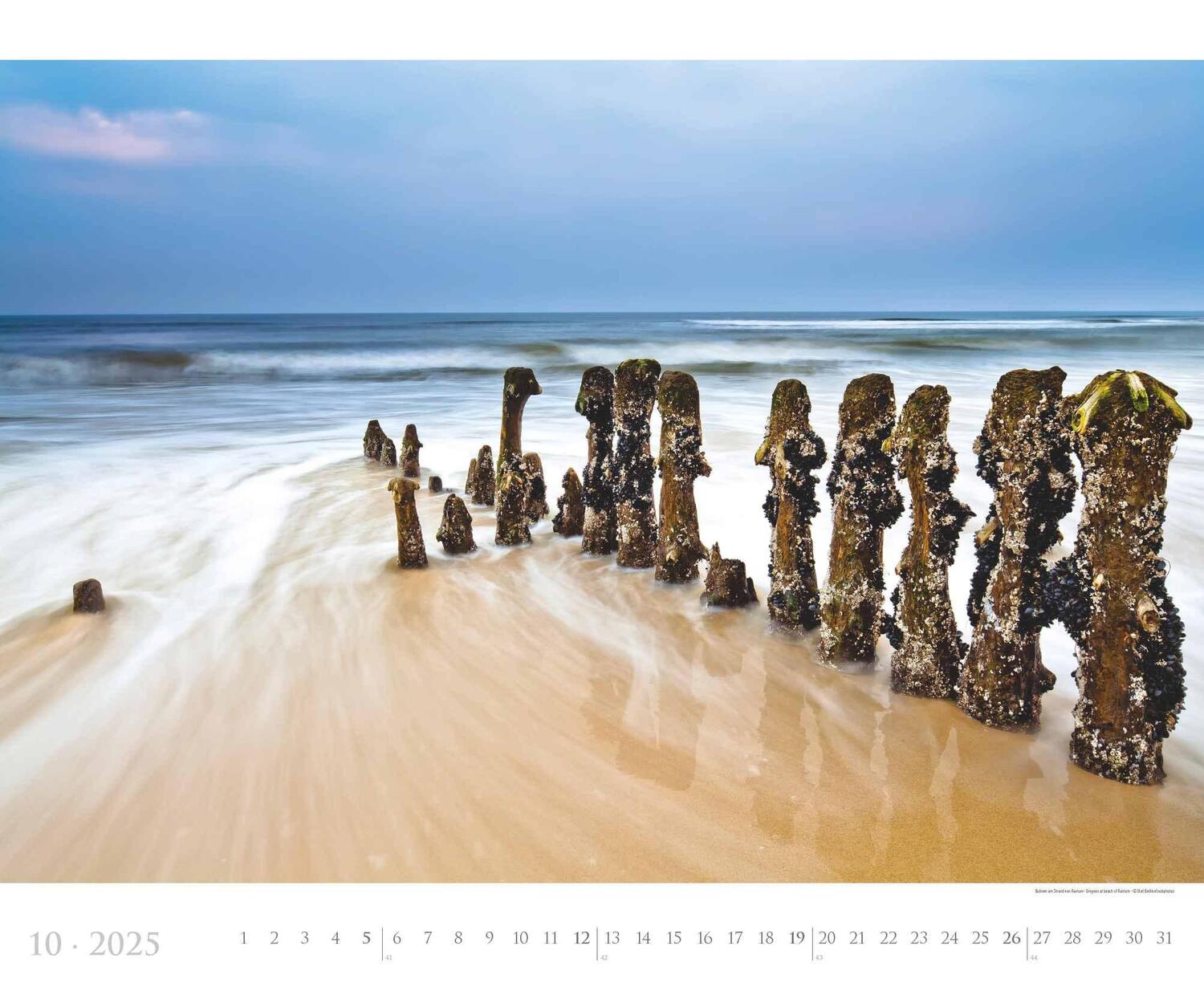 Bild: 4251732342258 | Sylt 2025 - Bildkalender XXL 60x50 cm - hochwertiger Wandkalender...