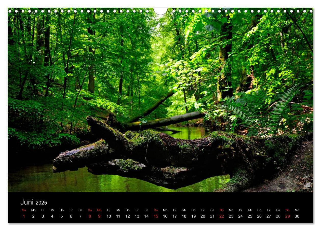 Bild: 9783435641192 | Wasserwandern in Mecklenburg-Vorpommern (Wandkalender 2025 DIN A3...