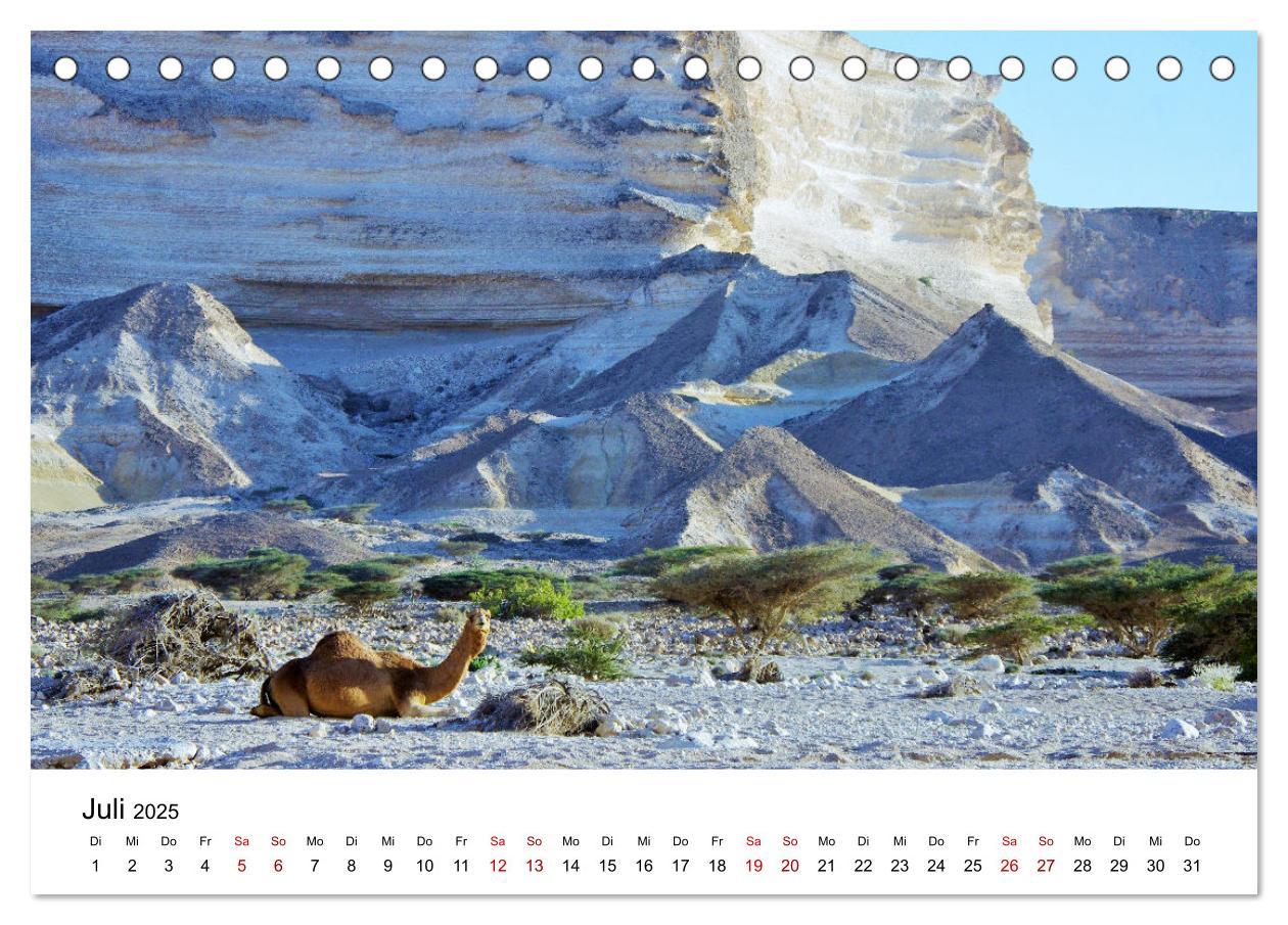 Bild: 9783435062720 | KAMELE... eine Reise durch den Oman. (Tischkalender 2025 DIN A5...