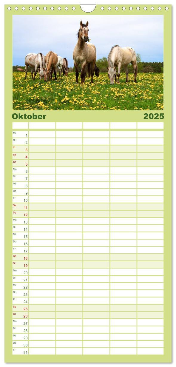 Bild: 9783457111130 | Familienplaner 2025 - Wilde Pferde mit 5 Spalten (Wandkalender, 21...