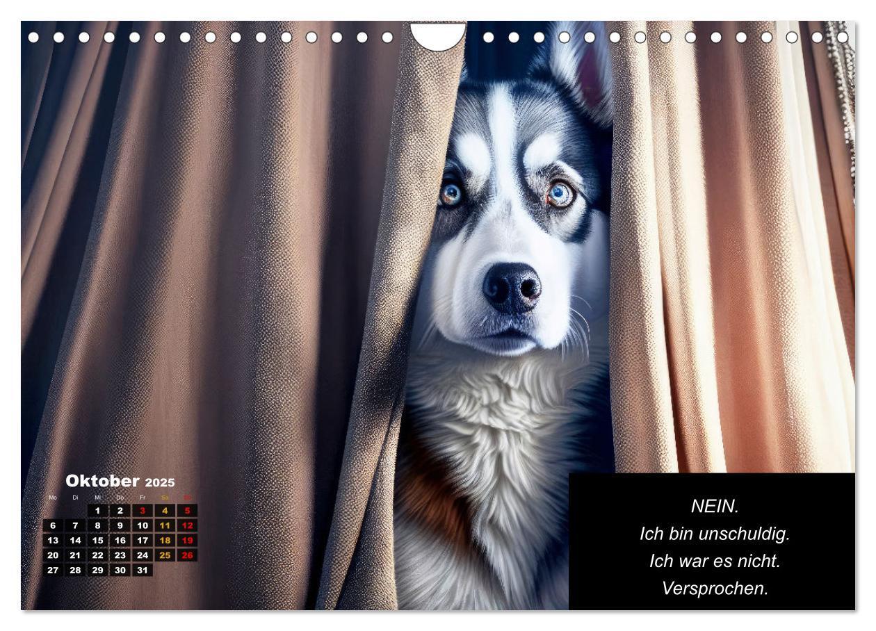 Bild: 9783435639878 | Der tierisch lustige Husky Kalender (Wandkalender 2025 DIN A4...