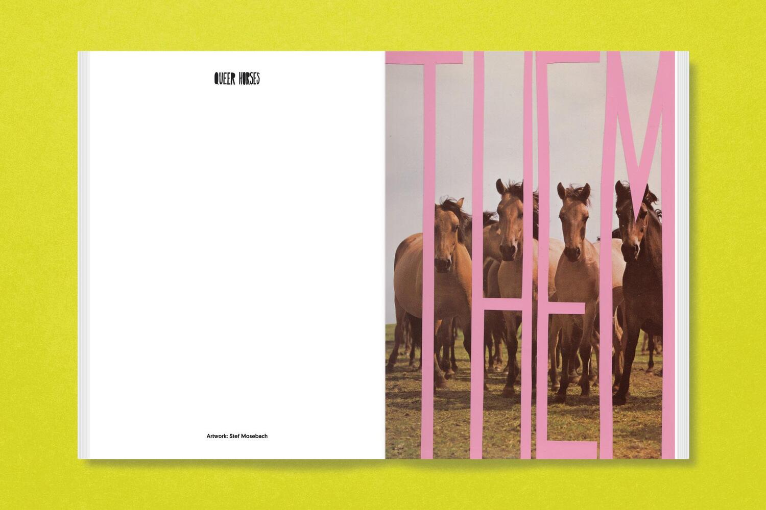 Bild: 9783987411366 | Queer Horses | Stefan Mosebach | Taschenbuch | 80 S. | Englisch | 2024