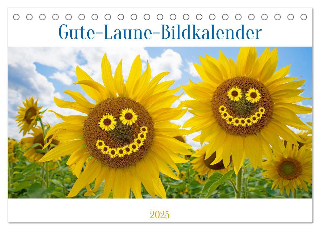 Cover: 9783435662494 | Gute-Laune-Bildkalender 2025 (Tischkalender 2025 DIN A5 quer),...