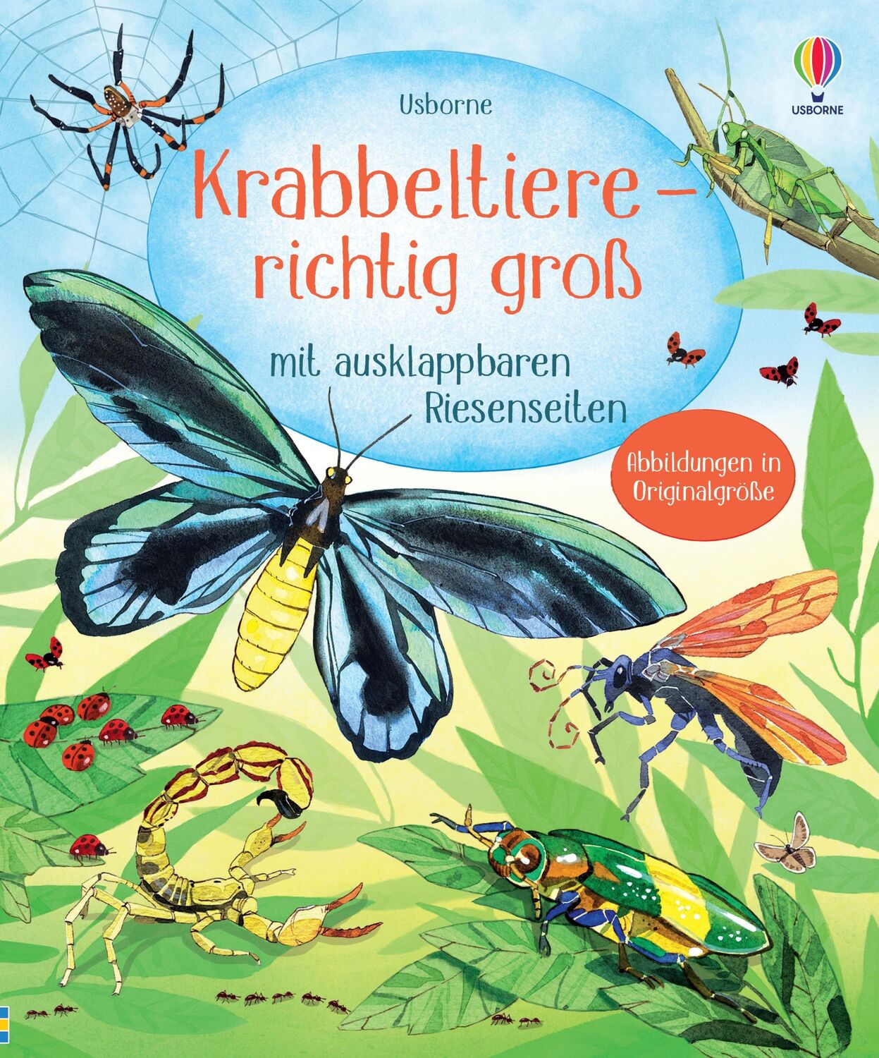 Cover: 9781035701094 | Krabbeltiere - richtig groß | Emily Bone | Buch | 16 S. | Deutsch