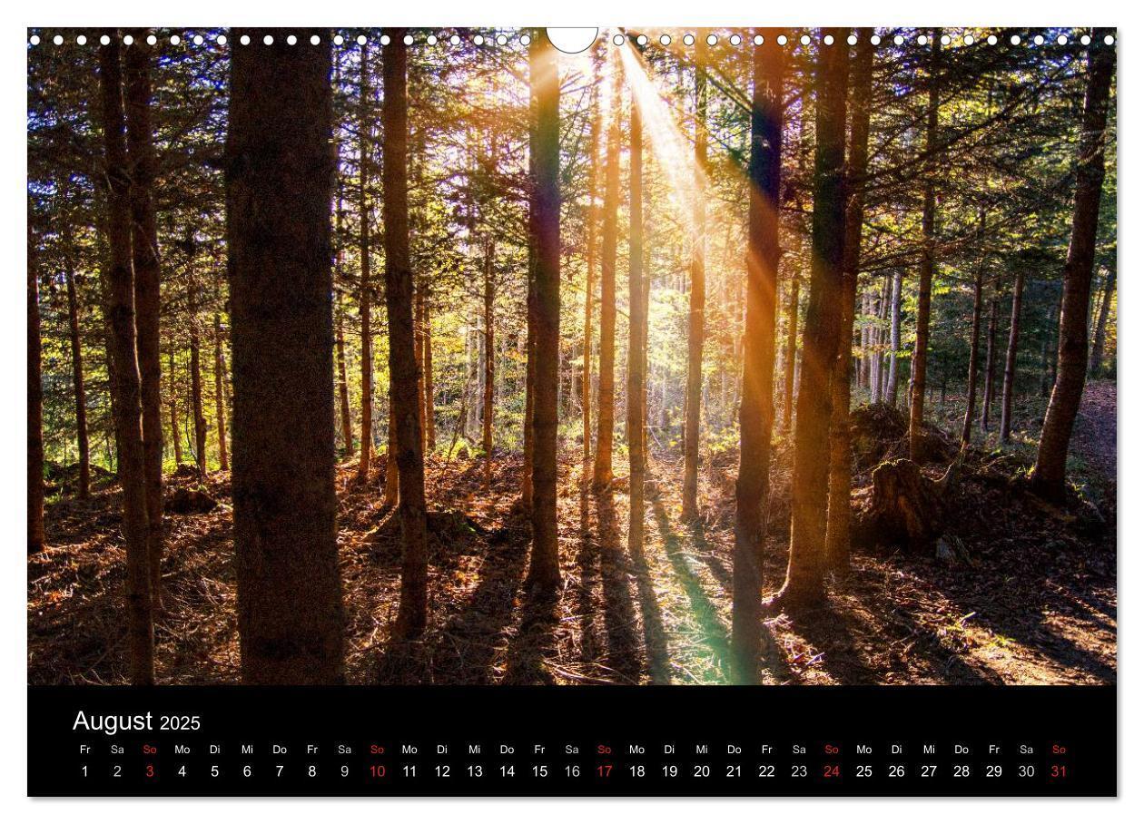 Bild: 9783435558773 | Allgäuer Impressionen (Wandkalender 2025 DIN A3 quer), CALVENDO...