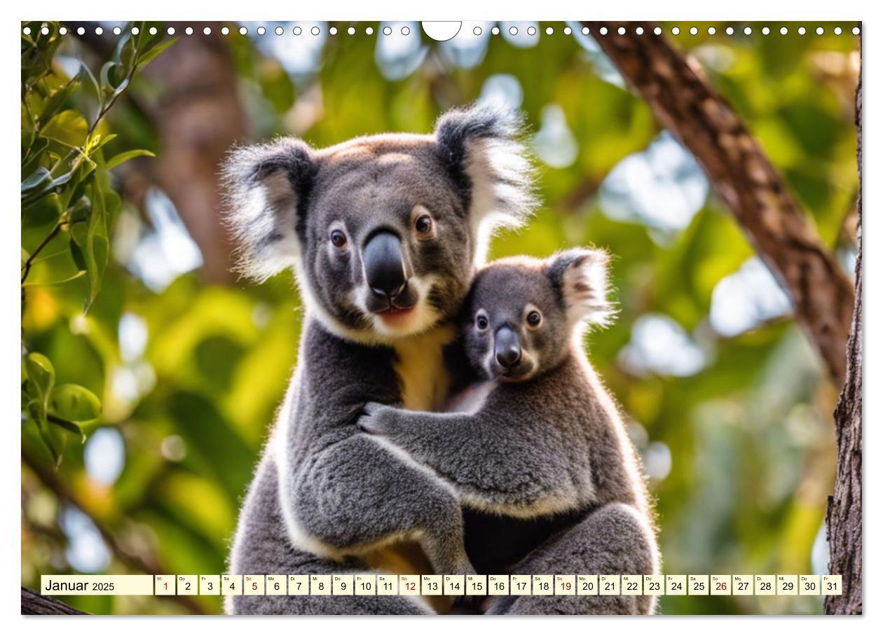 Bild: 9783435718689 | Australiens faszinierende Fauna (Wandkalender 2025 DIN A3 quer),...