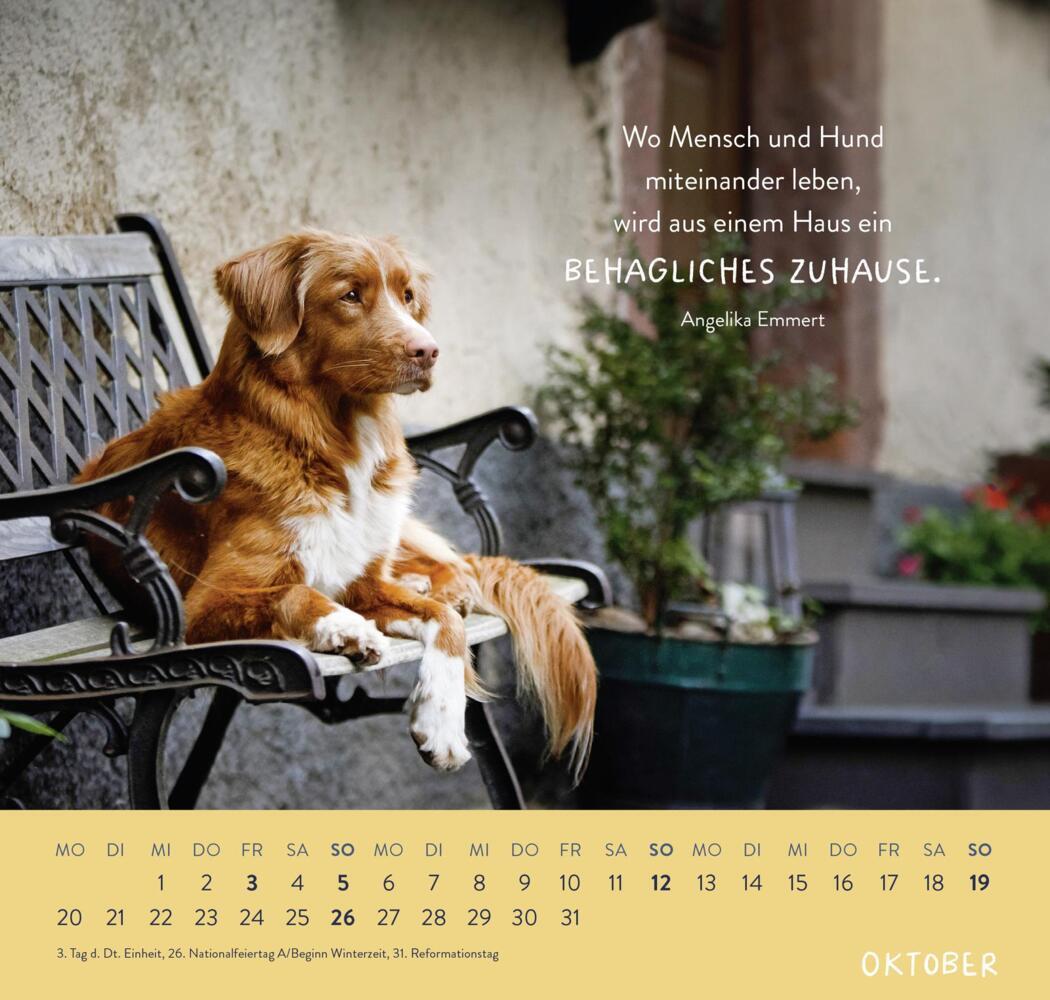 Bild: 4036442011867 | Wandkalender 2025: Für Hundefreunde | Groh Verlag | Kalender | 12 S.