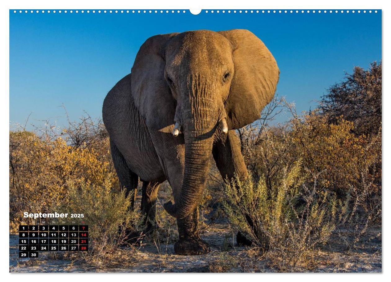 Bild: 9783435583775 | Blickpunkte in Namibia (hochwertiger Premium Wandkalender 2025 DIN...