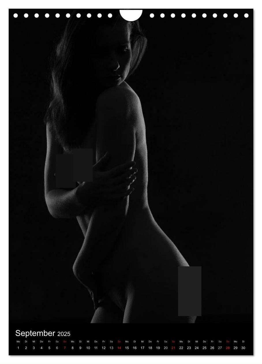 Bild: 9783457081389 | Erotische Silhouetten / CH-Version (Wandkalender 2025 DIN A4 hoch),...