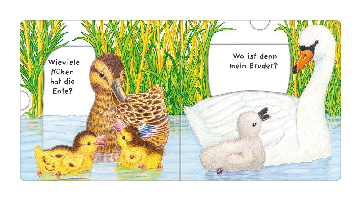 Bild: 9783473435159 | Tierkinder, wo seid ihr? | Helmut Spanner | Buch | Unzerr. | 12 S.