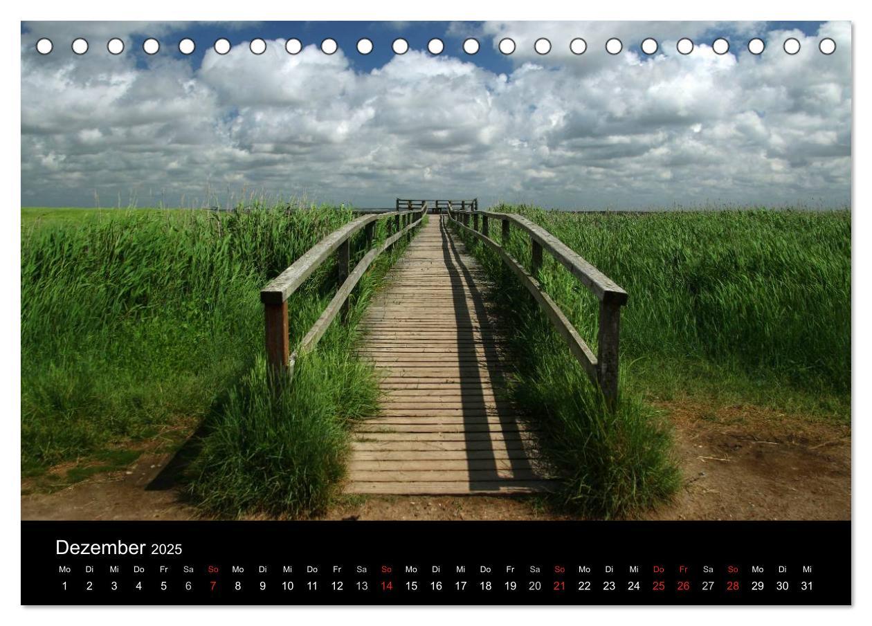 Bild: 9783435587667 | Amrum, Perle der Nordsee (Tischkalender 2025 DIN A5 quer), CALVENDO...